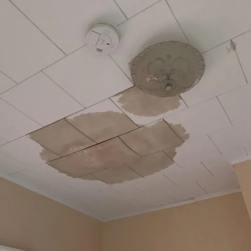 Ceiling Water Damage Repair in Holmes County, FL